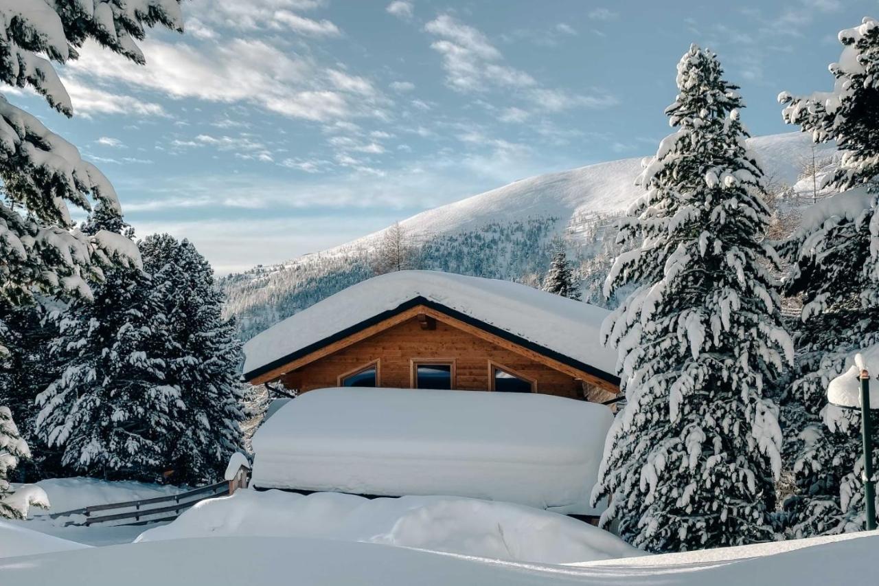 Heidi Chalets Falkert Heidialm - Chalet Almsommer Patergassen Ngoại thất bức ảnh